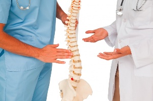 Physicians and spine model